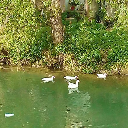 Apartment Piccola Blu Padova