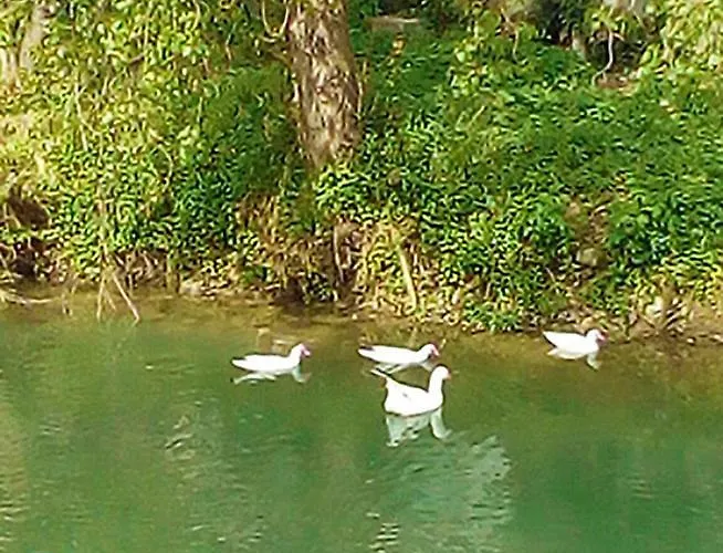 Appartement Piccola Blu Padua